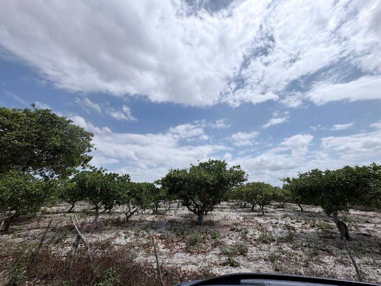 Lote, Padrão, 0 vaga(s) de garagem