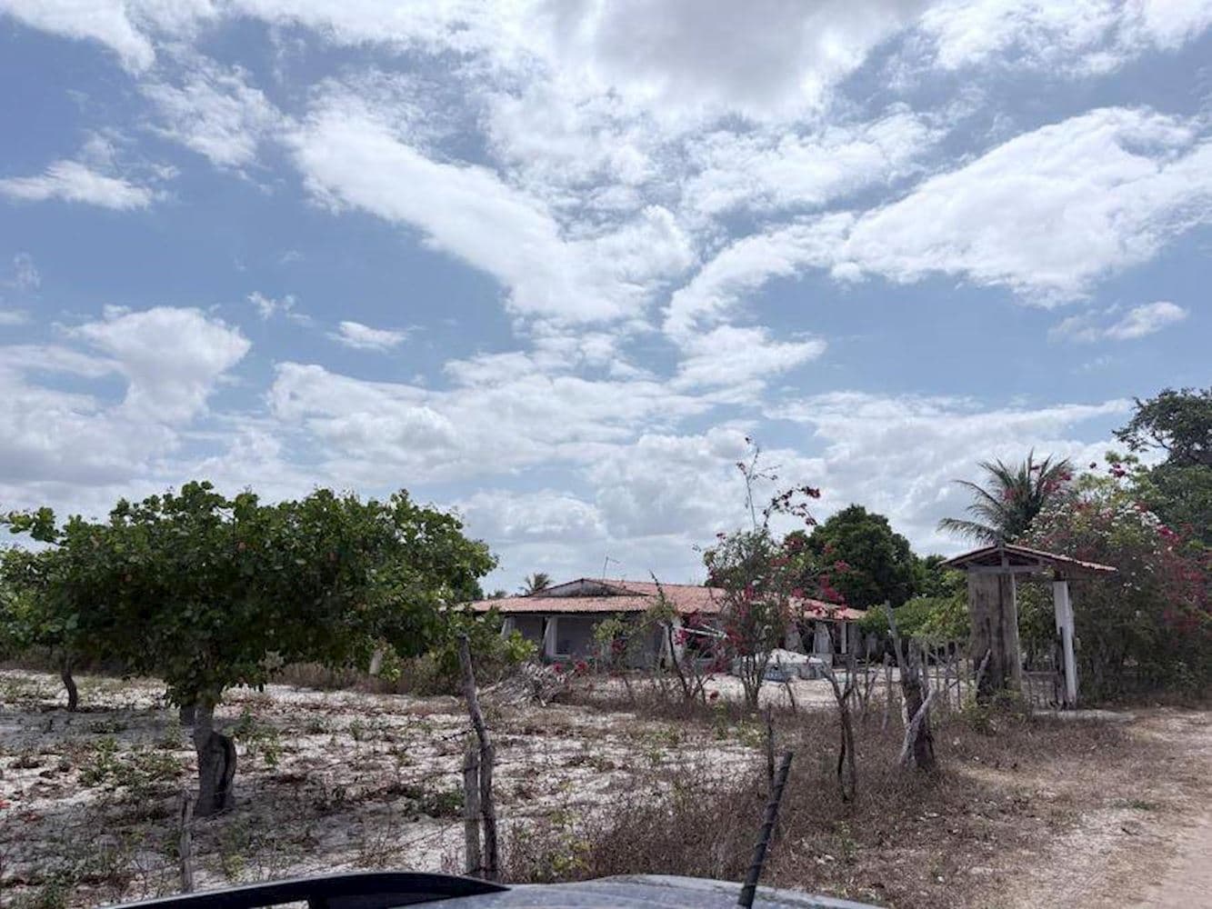 Lote, Padrão, 0 vaga(s) de garagem - foto 2