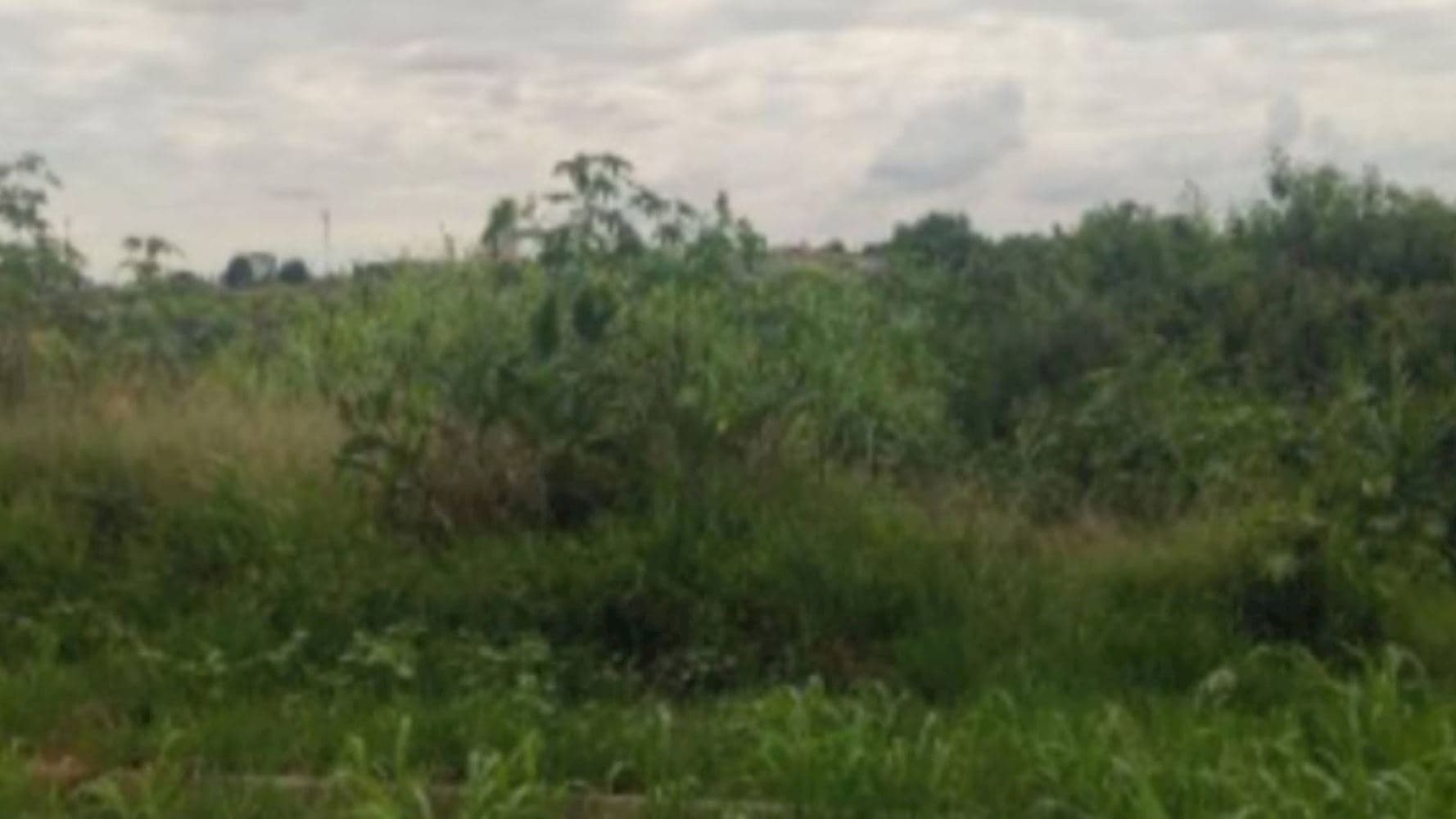 Terreno no Jardim Fogaça em Itapetininga/SP - foto 2