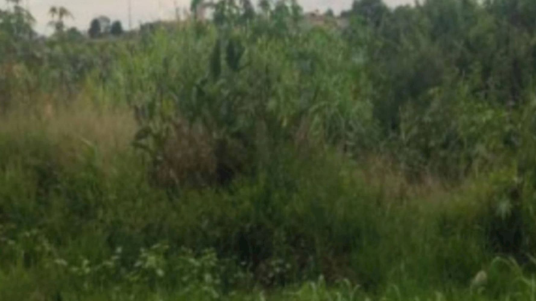 Terreno no Jardim Fogaça em Itapetininga/SP - foto 3