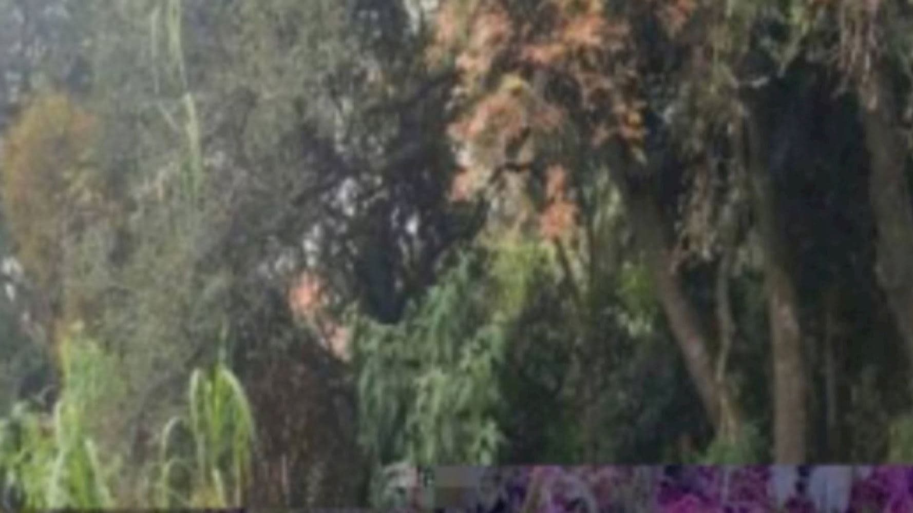 Terreno no Jardim Fogaça em Itapetininga/SP - foto 5