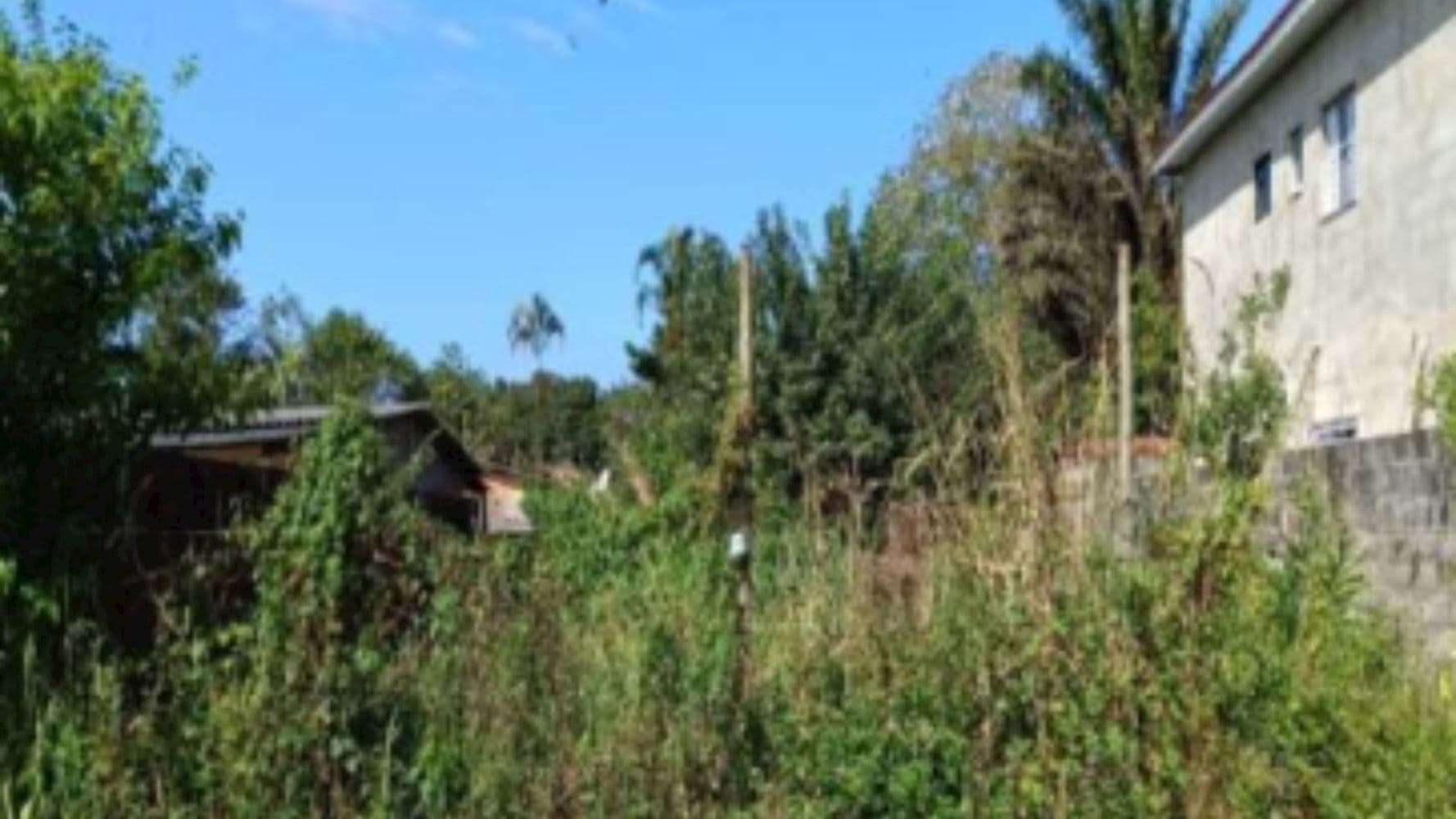 Terreno na Vila Nossa Senhora dos Navegantes - Cananéia/SP - foto 2