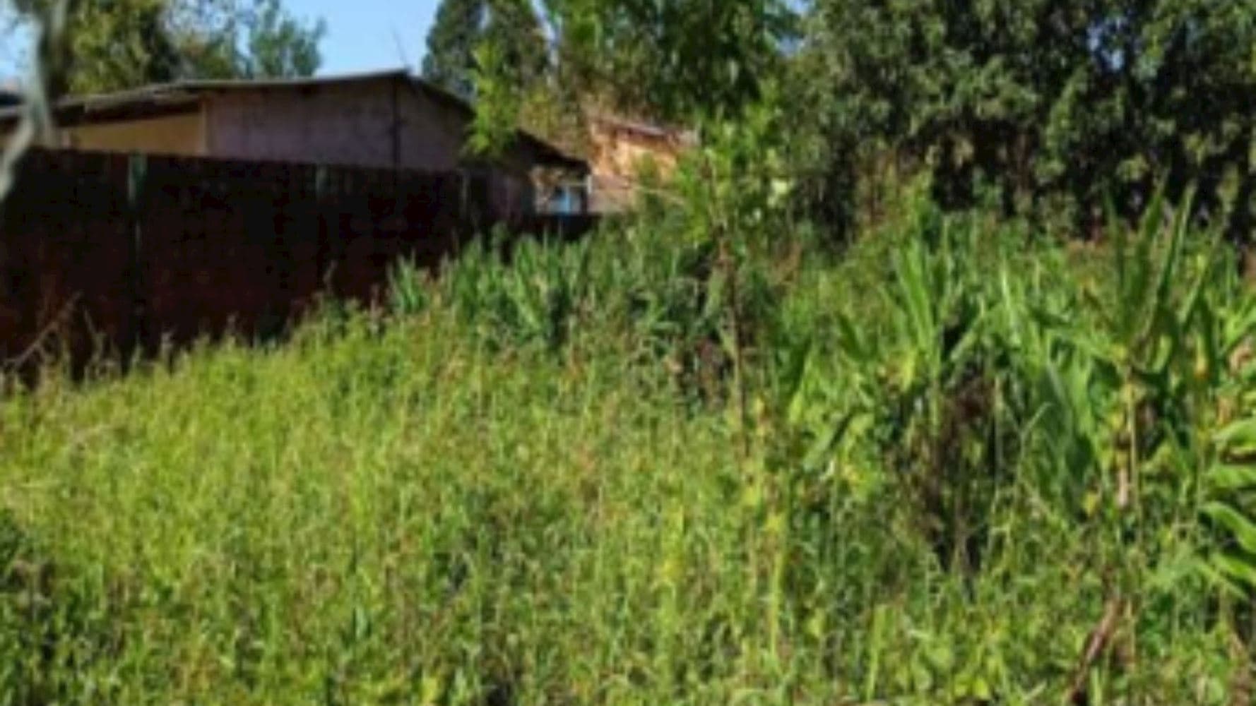 Terreno na Vila Nossa Senhora dos Navegantes - Cananéia/SP - foto 3