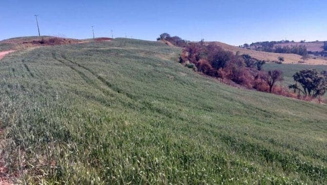 Imóvel Rural com Área de 72.600 m² (Sítio Alvorada - Gleba Alvorada) - Nova Tebas - PR