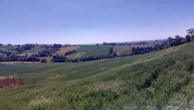 Imóvel Rural com Área de 72.600 m² (Sítio Alvorada - Gleba Alvorada) - Nova Tebas - PR - foto 3