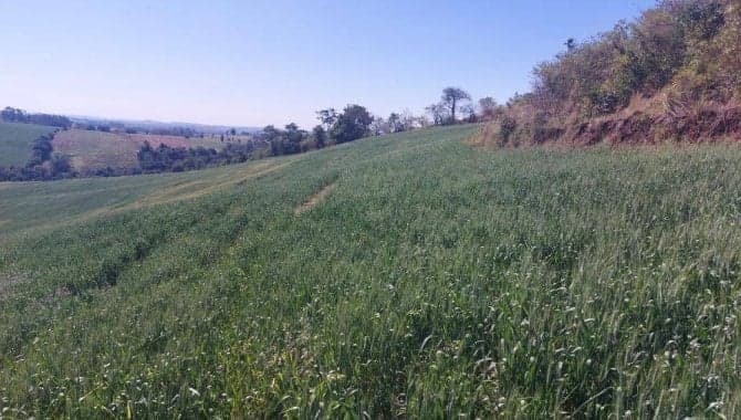 Imóvel Rural com Área de 72.600 m² (Sítio Alvorada - Gleba Alvorada) - Nova Tebas - PR - foto 4