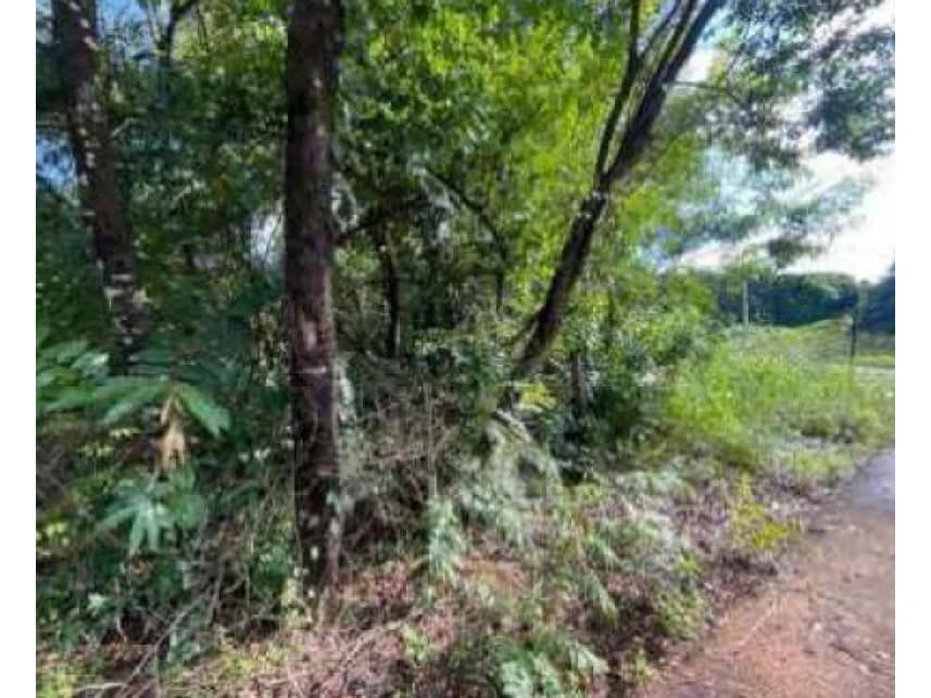 Terreno à venda em leilão