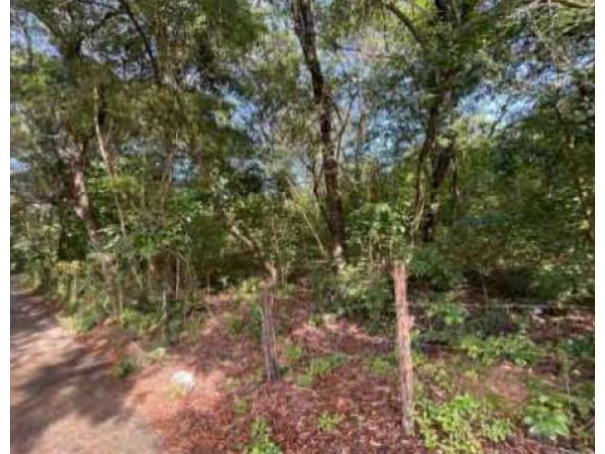 Terreno à venda em leilão - foto 2