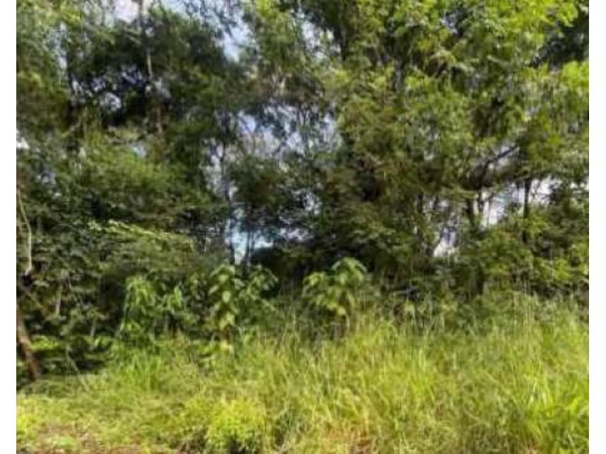Terreno à venda em leilão - foto 3