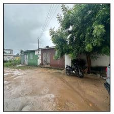 LOT FLORESTINHA