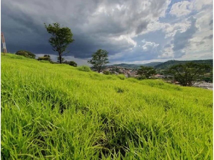 Terreno à venda em leilão