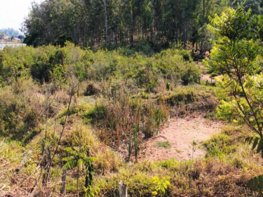 Fazenda à venda em leilão