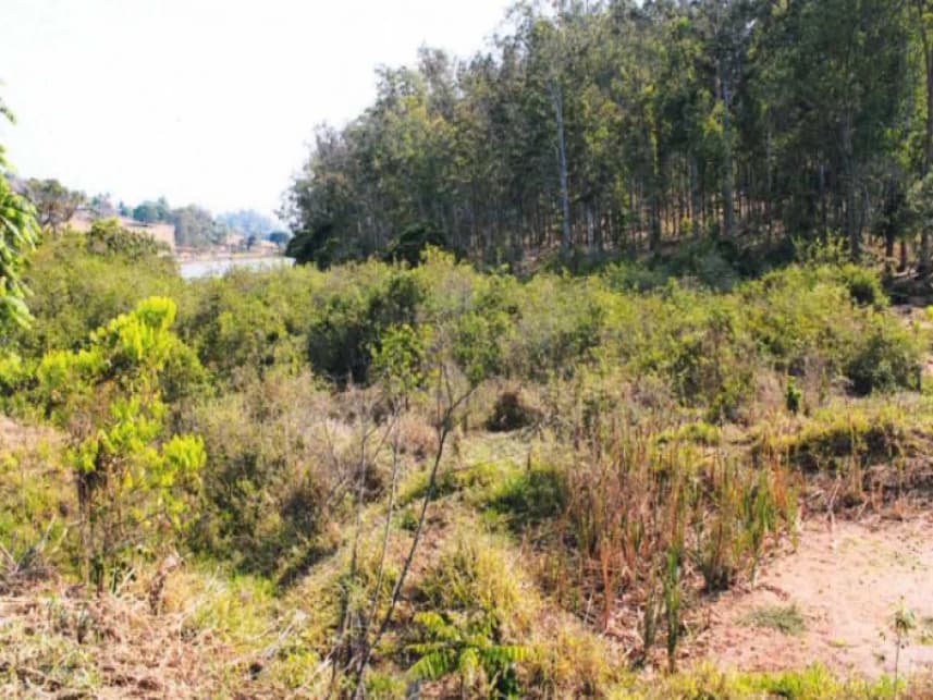 Fazenda à venda em leilão - foto 4