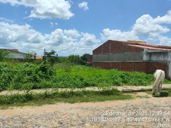 LOT PLANALTO PRINCIPE IMPERIAL