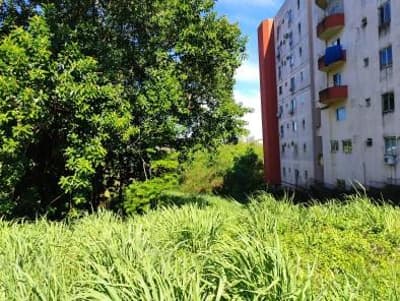 Terreno Urbano De 600,00 M² (12 X 50 Metros), Sem Benfeitorias, Vila Portes, Foz Do Iguaçu/PR