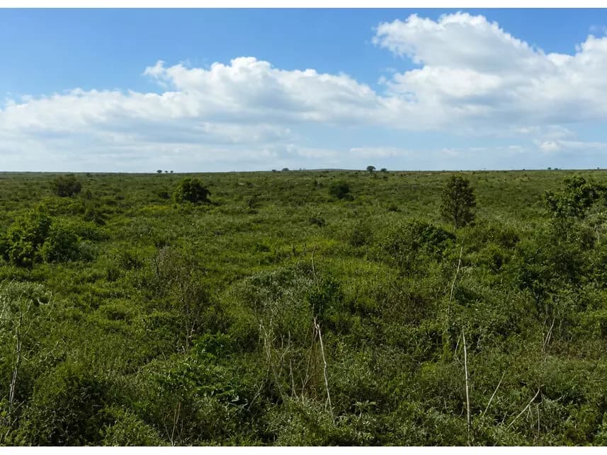 Fazenda à venda em leilão