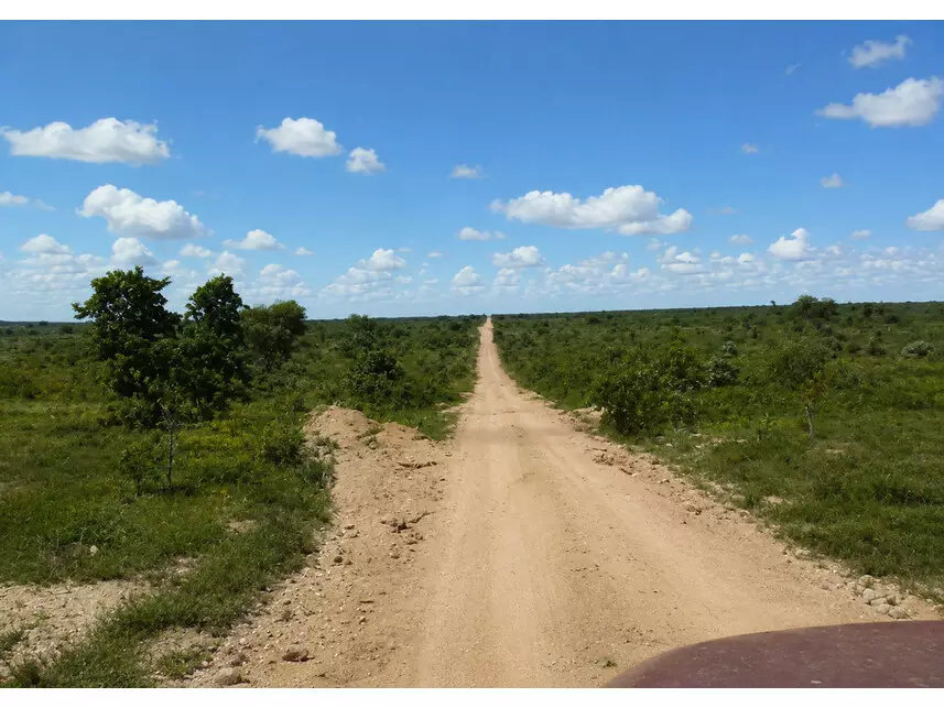 Fazenda à venda em leilão - foto 2
