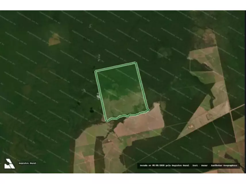 Fazenda à venda em leilão - foto 3