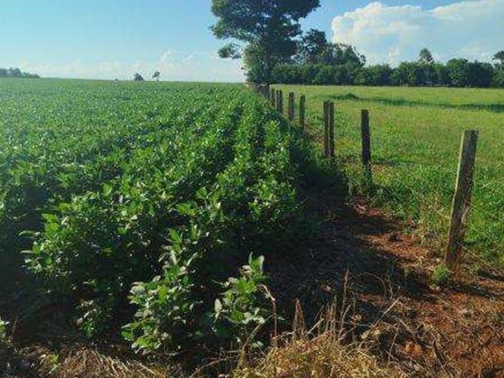 Imóvel Rural com Área de 40 ha (Sítio São João II) - Itaporã - MS - foto 2