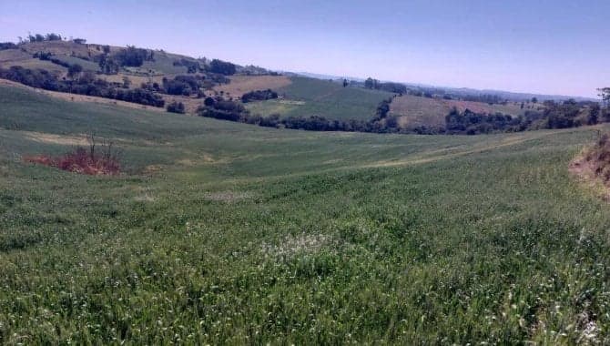 Imóvel Rural com Área de 72.600 m² (Gleba Alvorada) - Colônia Muquilão - Nova Tebas - PR - foto 3