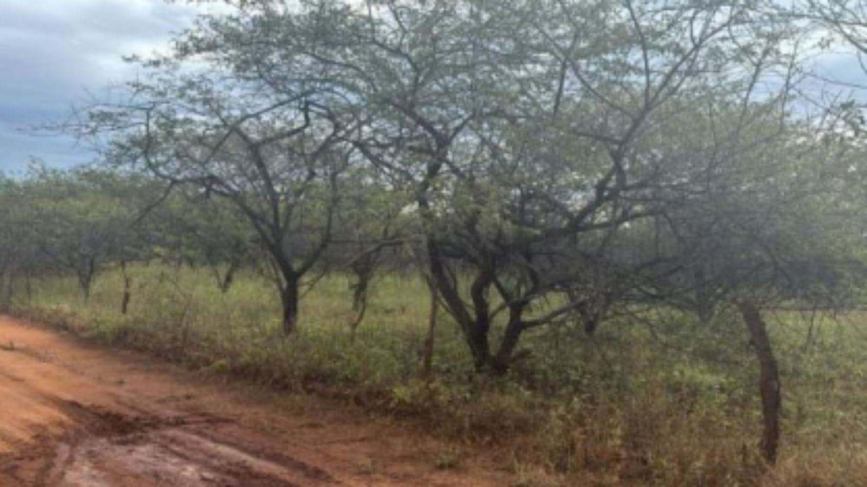Terreno no Bairro Área Rural em Umarizal/RN - foto 5
