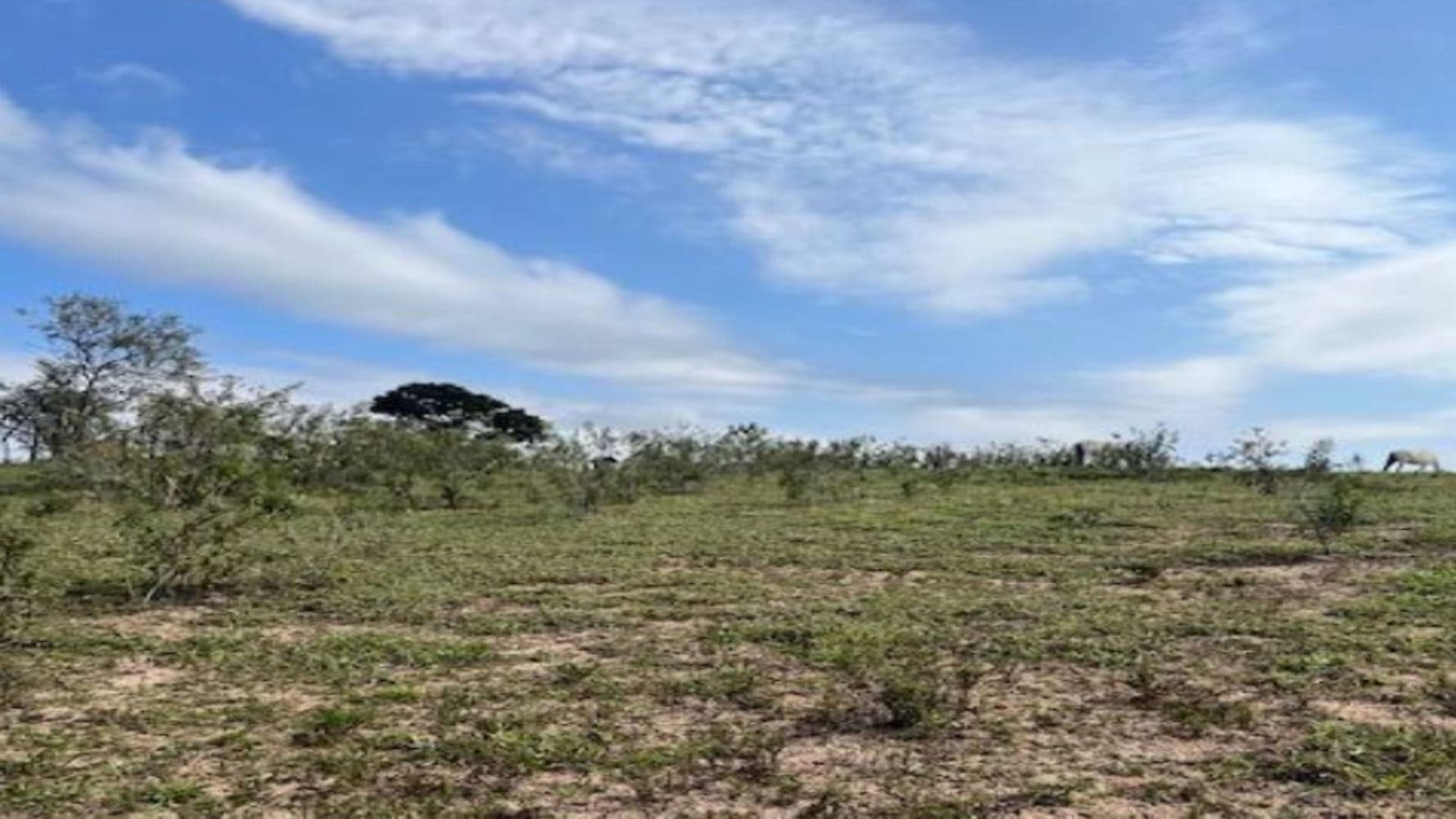 Terreno em Brigadeiro Tobias - Sorocaba/SP - foto 3