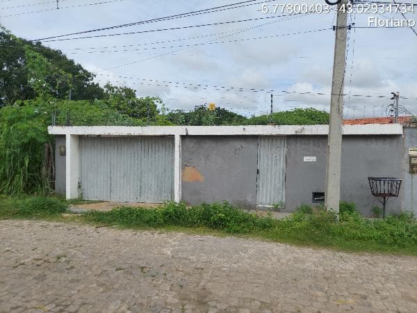 FLORIANO - MANGUINHA