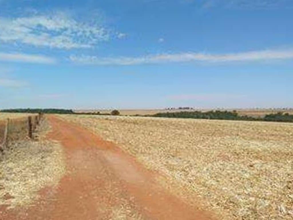 Imóvel Rural com Área de 334 ha (Fazenda Retiro do Bom Jardim) - Montividiu - GO