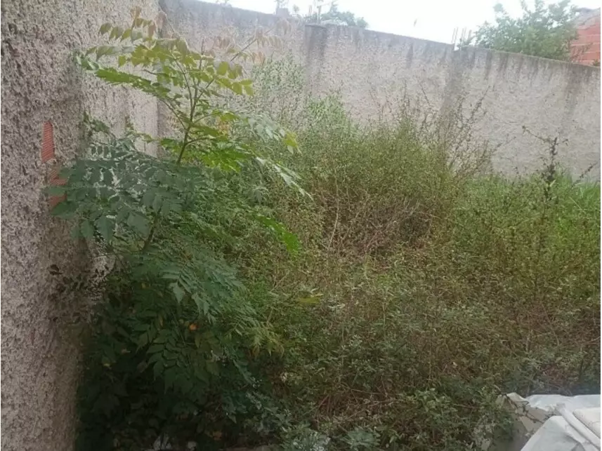 Casa à venda em leilão - foto 3