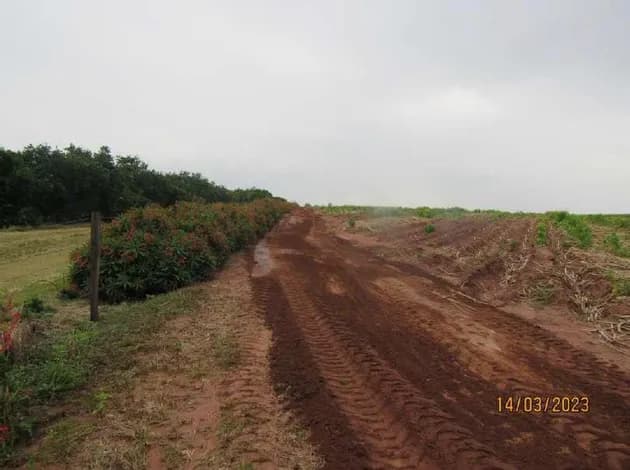 Imóvel Rural, A.T. 23,72ha, Sitio Iguaçu, Lagoa Branca - foto 2