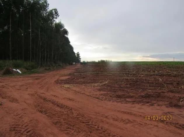 Imóvel Rural, A.T. 23,72ha, Sitio Iguaçu, Lagoa Branca - foto 3
