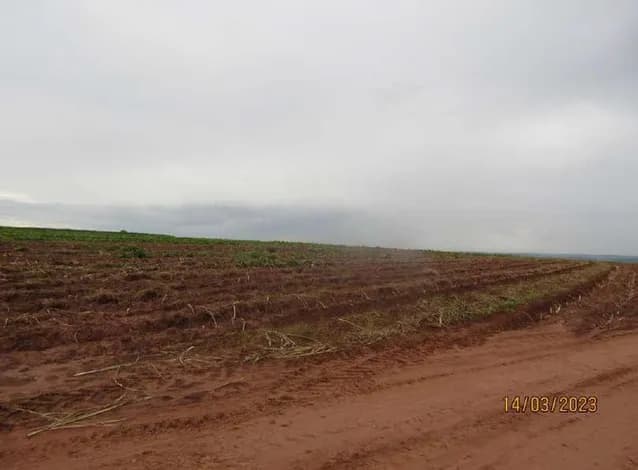 Imóvel Rural, A.T. 23,72ha, Sitio Iguaçu, Lagoa Branca - foto 4