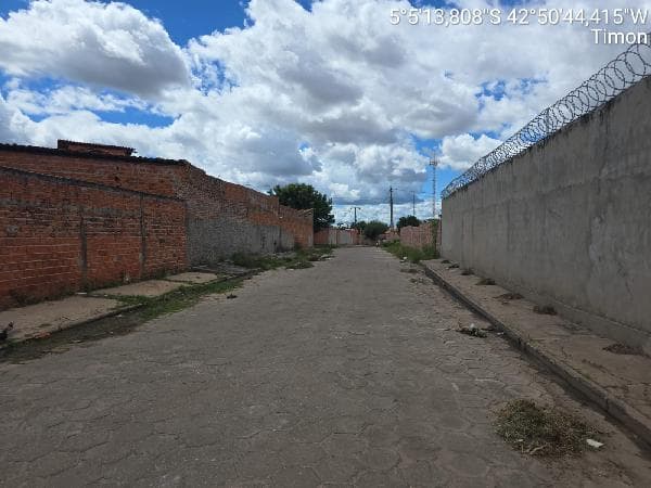 TIMON - SAO FRANCISCO
