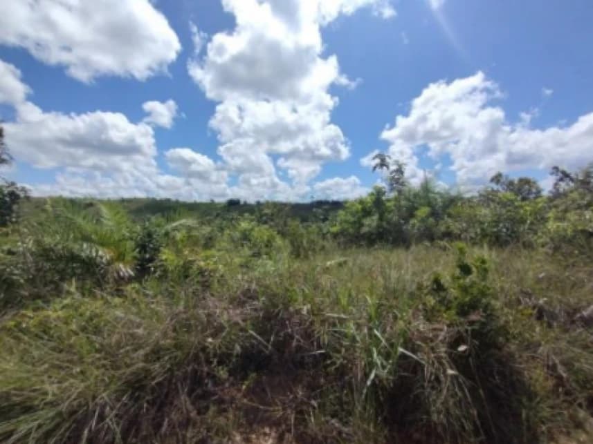 Terreno à venda em leilão - foto 2