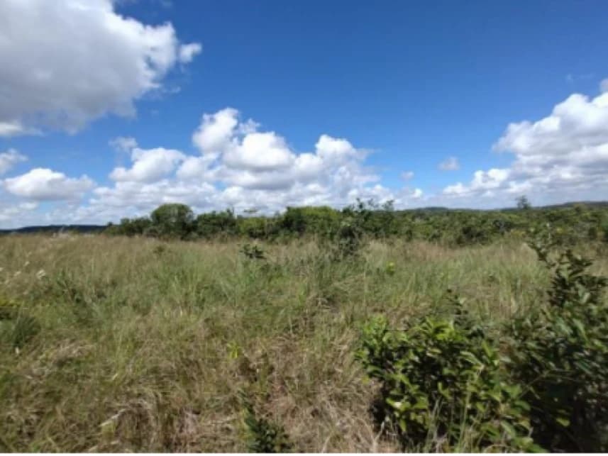 Terreno à venda em leilão - foto 3