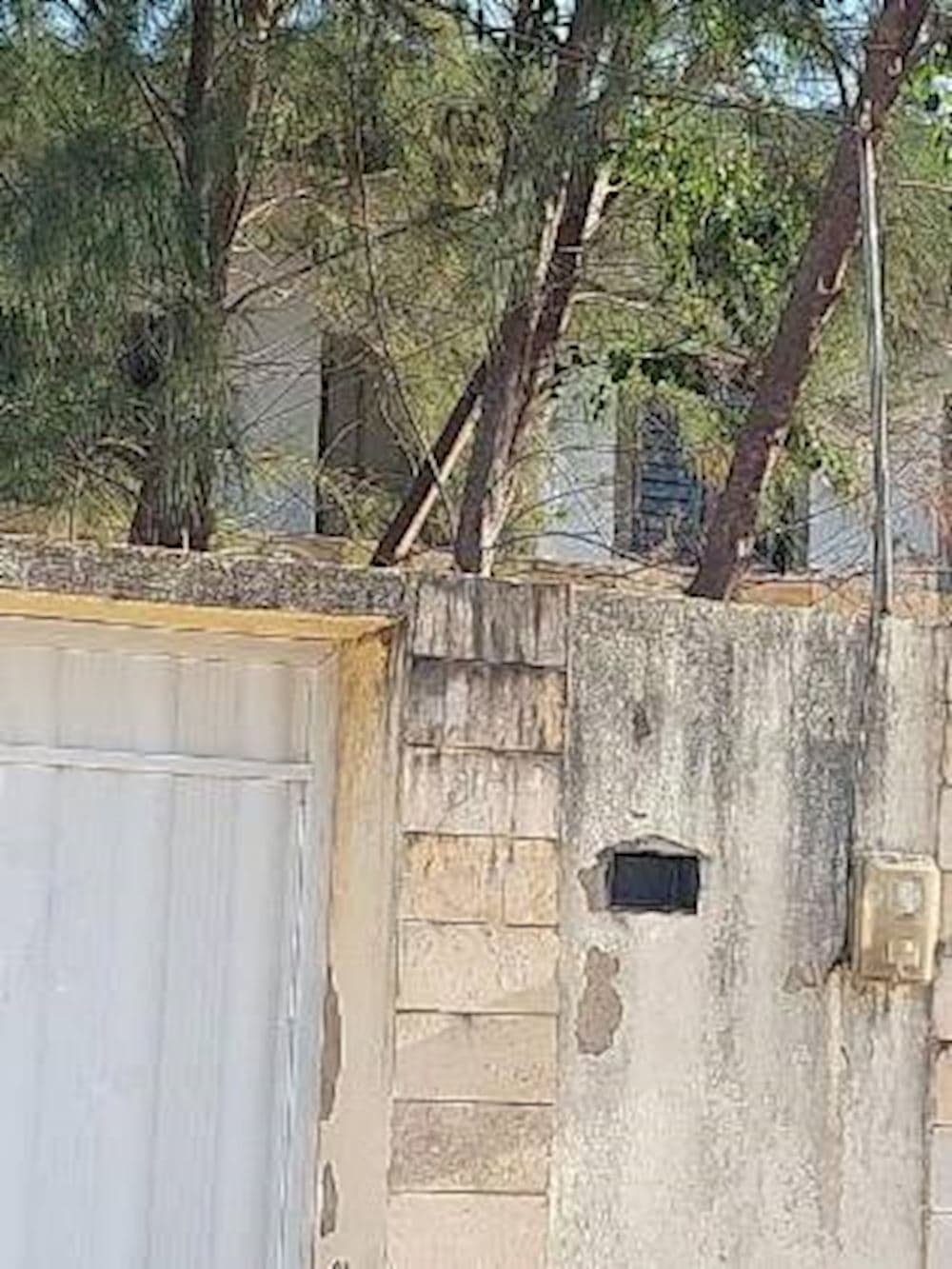 Casa, Em condomínio, 1 vaga(s) de garagem - foto 3