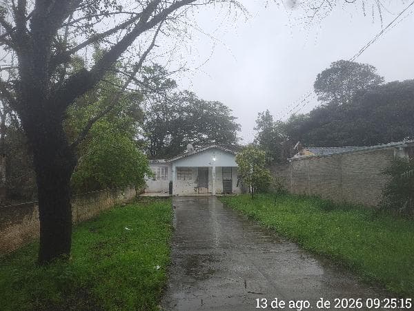 PORTO ALEGRE - LAMI
