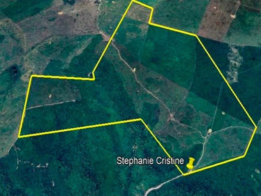 Área Rural 200 ha - Paulo Ramos-MA - Fazenda Sol Nascente I - Povoado Brejo Grande