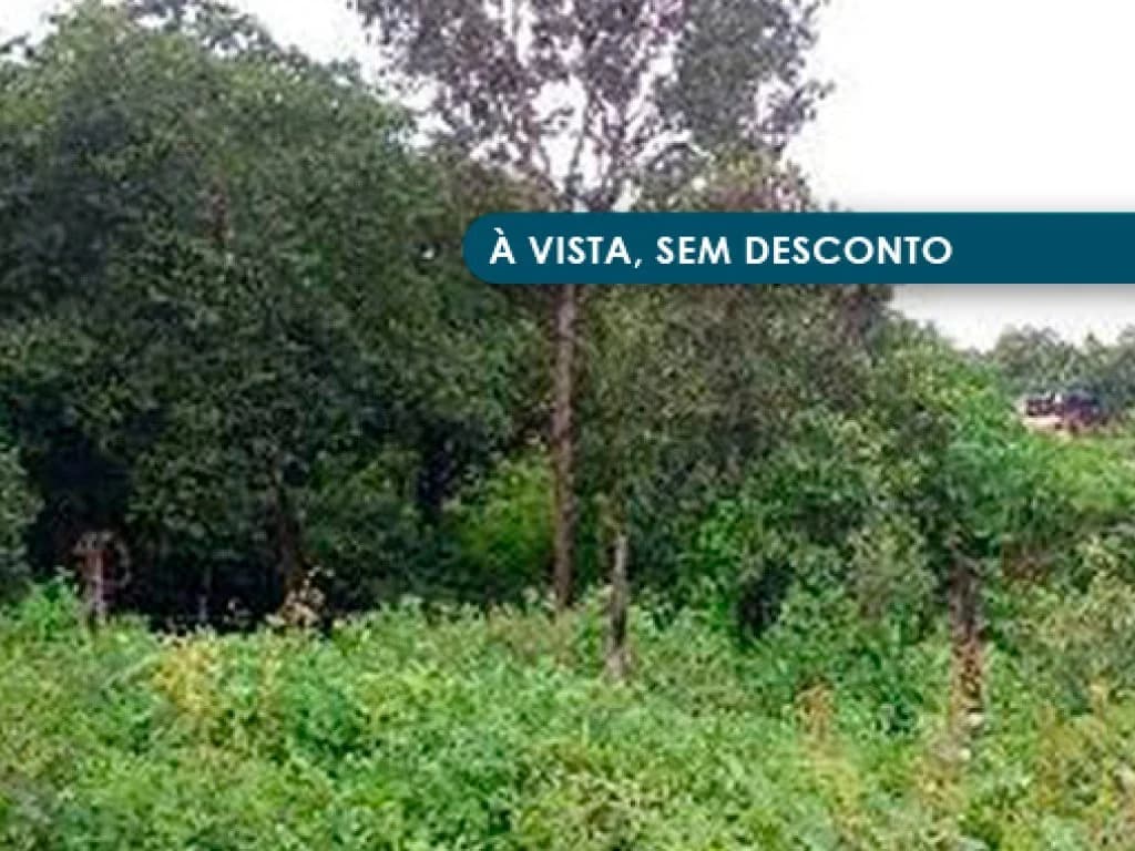 06 Terrenos - Jardim das Acácias - Paraíso do Tocantins - TO - foto 3