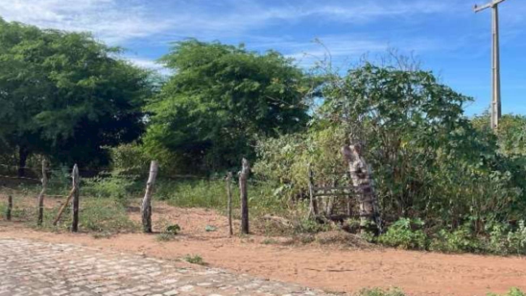 Terreno em Mel de Baixo - Areia Branca/RN - foto 2