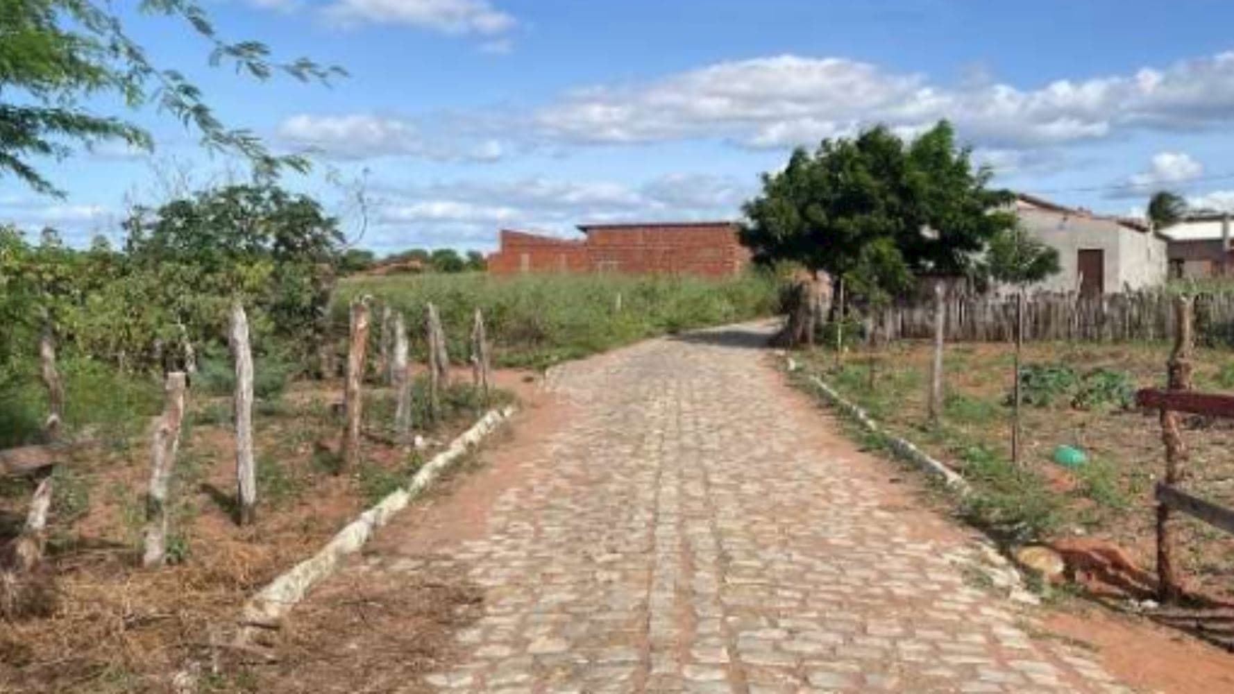 Terreno em Mel de Baixo - Areia Branca/RN - foto 3