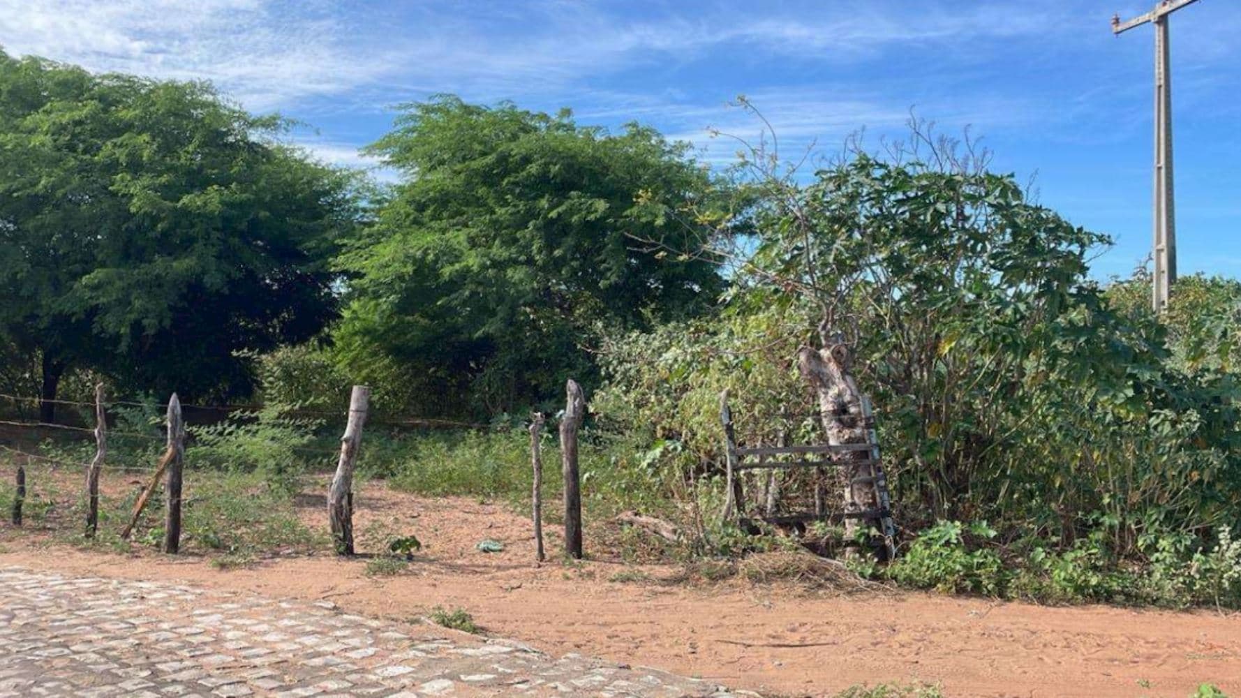 Terreno em Mel de Baixo - Areia Branca/RN - foto 5