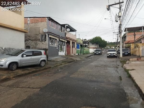 SAO GONCALO - GALO BRANCO
