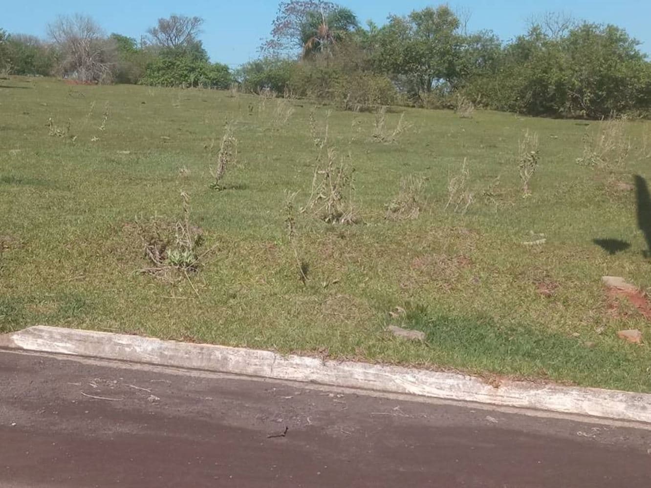 Lote, Padrão, 0 vaga(s) de garagem - foto 5