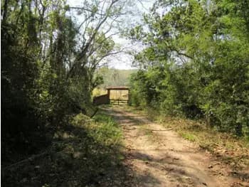 Gleba com benfeitorias à venda em leilão