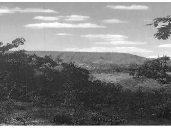 Área Rural à venda em leilão