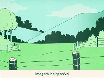 Área Rural à venda em leilão