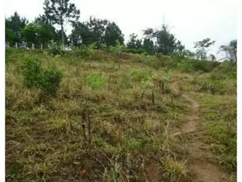 Terreno à venda
