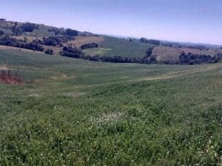 Imóvel Rural com Área de 72.600 m² (Gleba Alvorada) - Colônia Muquilão - Nova Tebas - PR