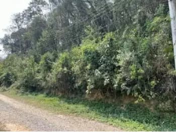 Terrenos à venda em leilão